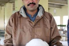 Malik-Rabbit-Farm-29
