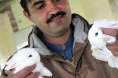 Malik-Rabbit-Farm-30
