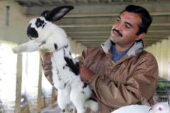 Malik-Rabbit-Farm-35