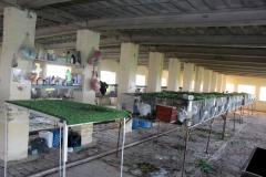 Malik-Rabbit-Farm-38