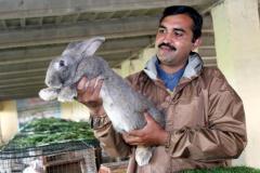 Malik-Rabbit-Farm-39