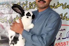 Malik-Rabbit-Farm-40