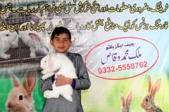 Malik-Rabbit-Farm-41