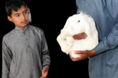 Malik-Rabbit-Farm-42