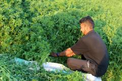Malik-Rabbit-Farm-43