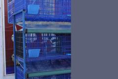 Malik-Rabbit-Farm-6