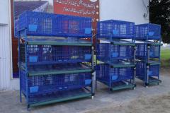 Malik-Rabbit-Farm-7