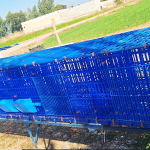 Rabbit Plastic Cage10x2 Size
