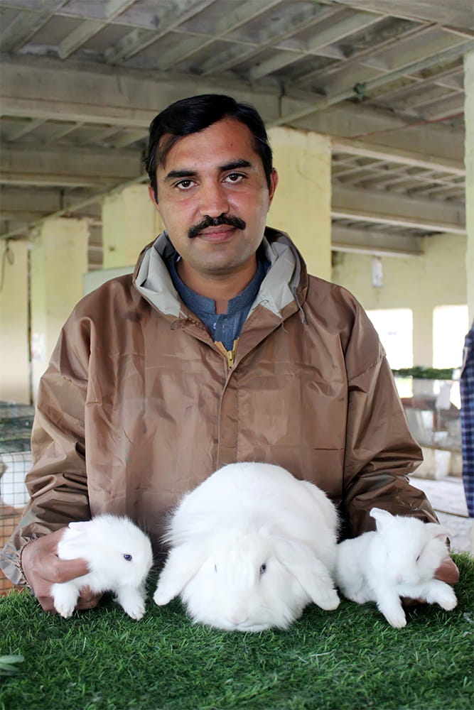 Commercial Packages - Malik Rabbit Farm